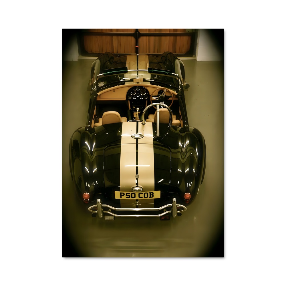 Poster Cobra Noire